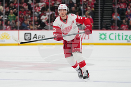 Red Wings Devils Hockey