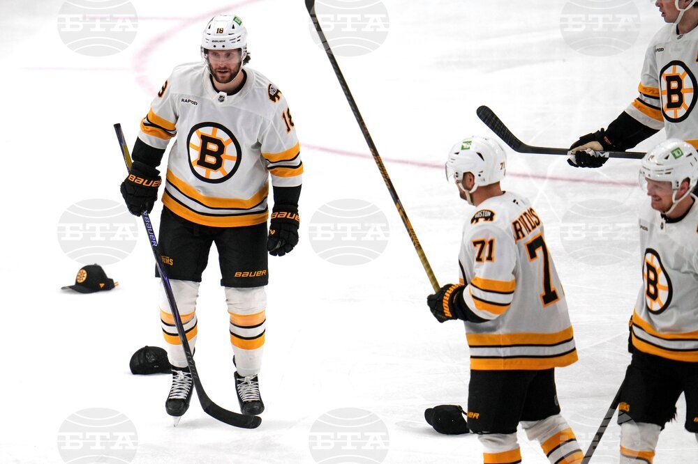 Bruins Penguins Hockey