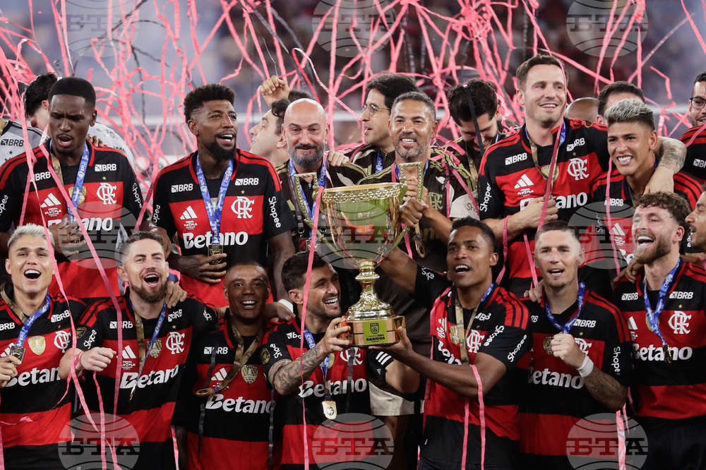 Brazil Carioca Championship Soccer