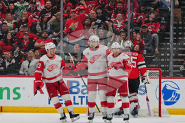 Red Wings Devils Hockey