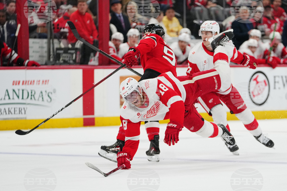 Red Wings Devils Hockey