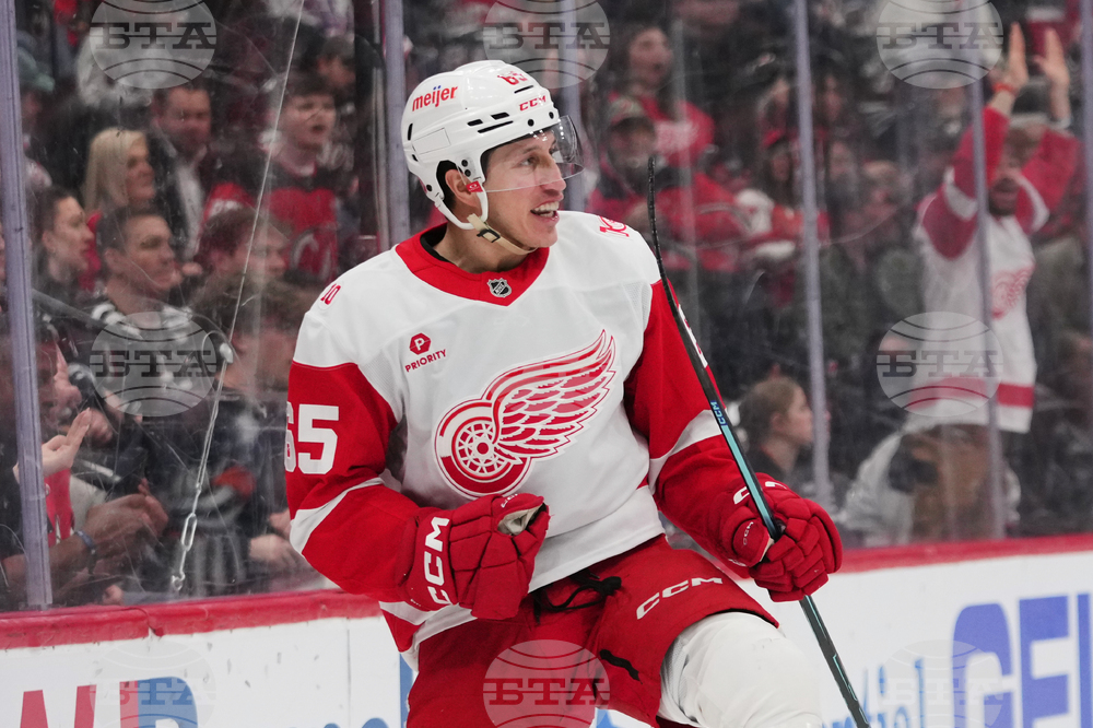 Red Wings Devils Hockey