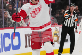 Red Wings Devils Hockey