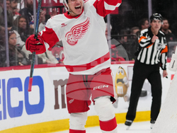 Red Wings Devils Hockey