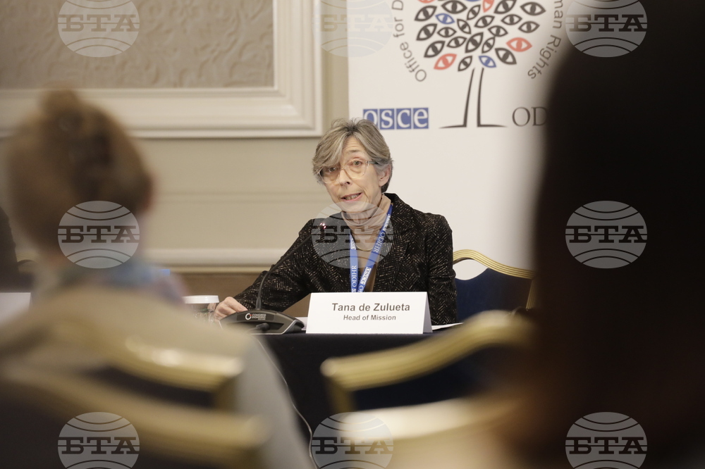 ПАСЕ - пресконференция - парламентарни избори - наблюдатели - Тана де Зулуета