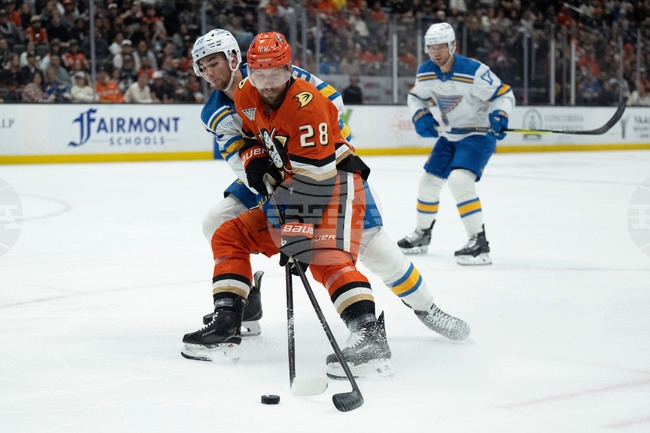 Blues Ducks Hockey