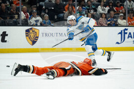 Blues Ducks Hockey
