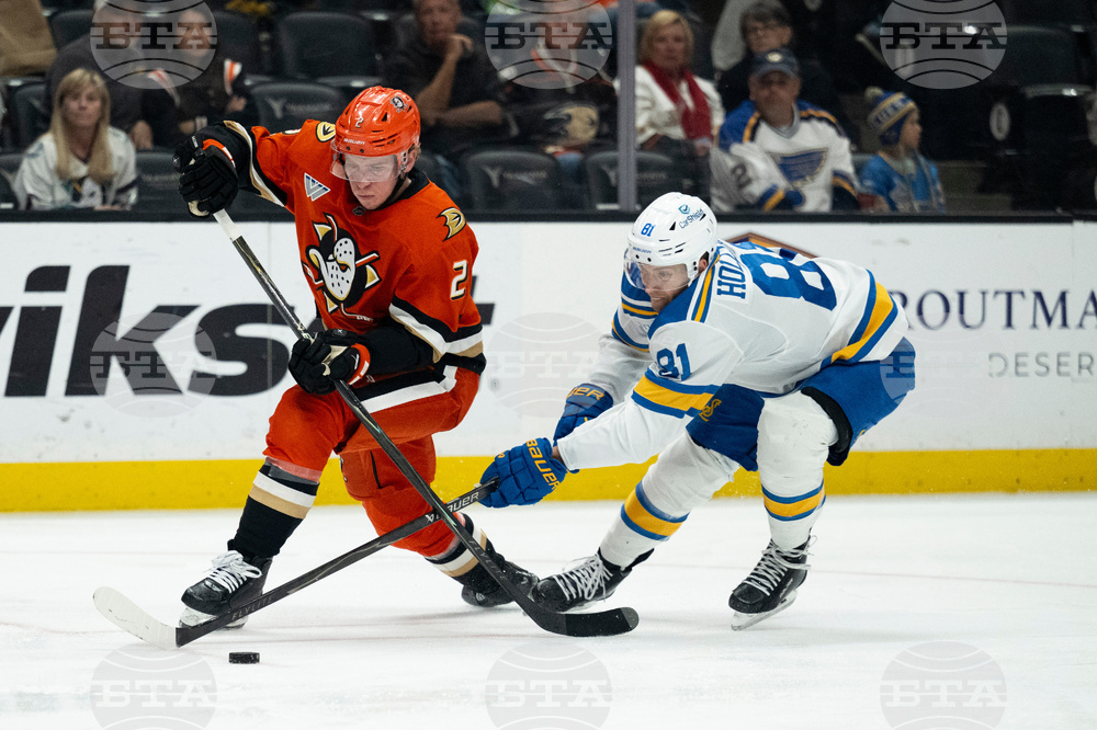 Blues Ducks Hockey