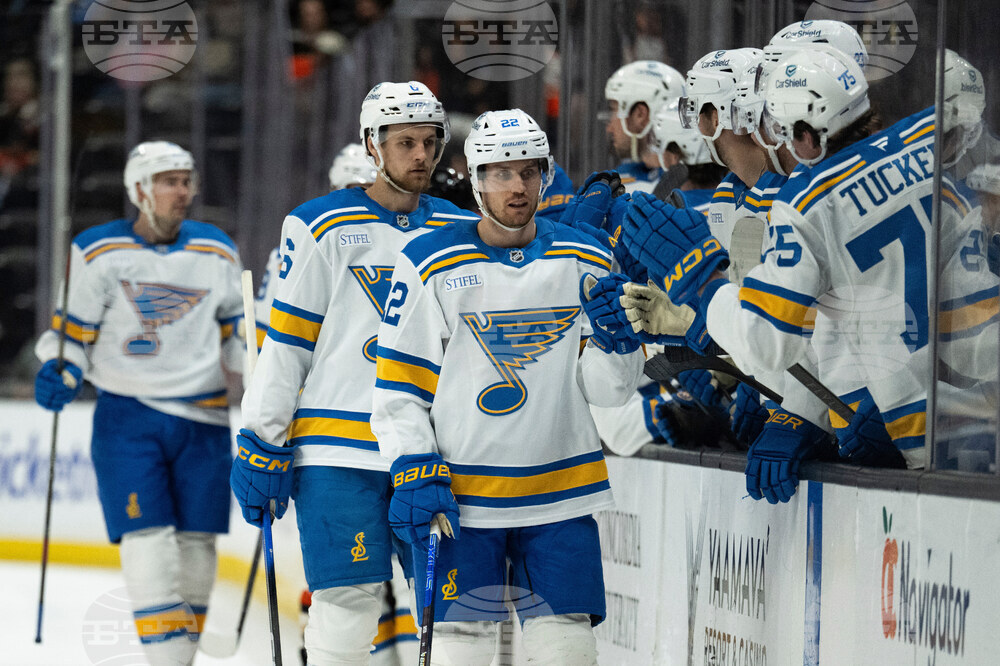 Blues Ducks Hockey