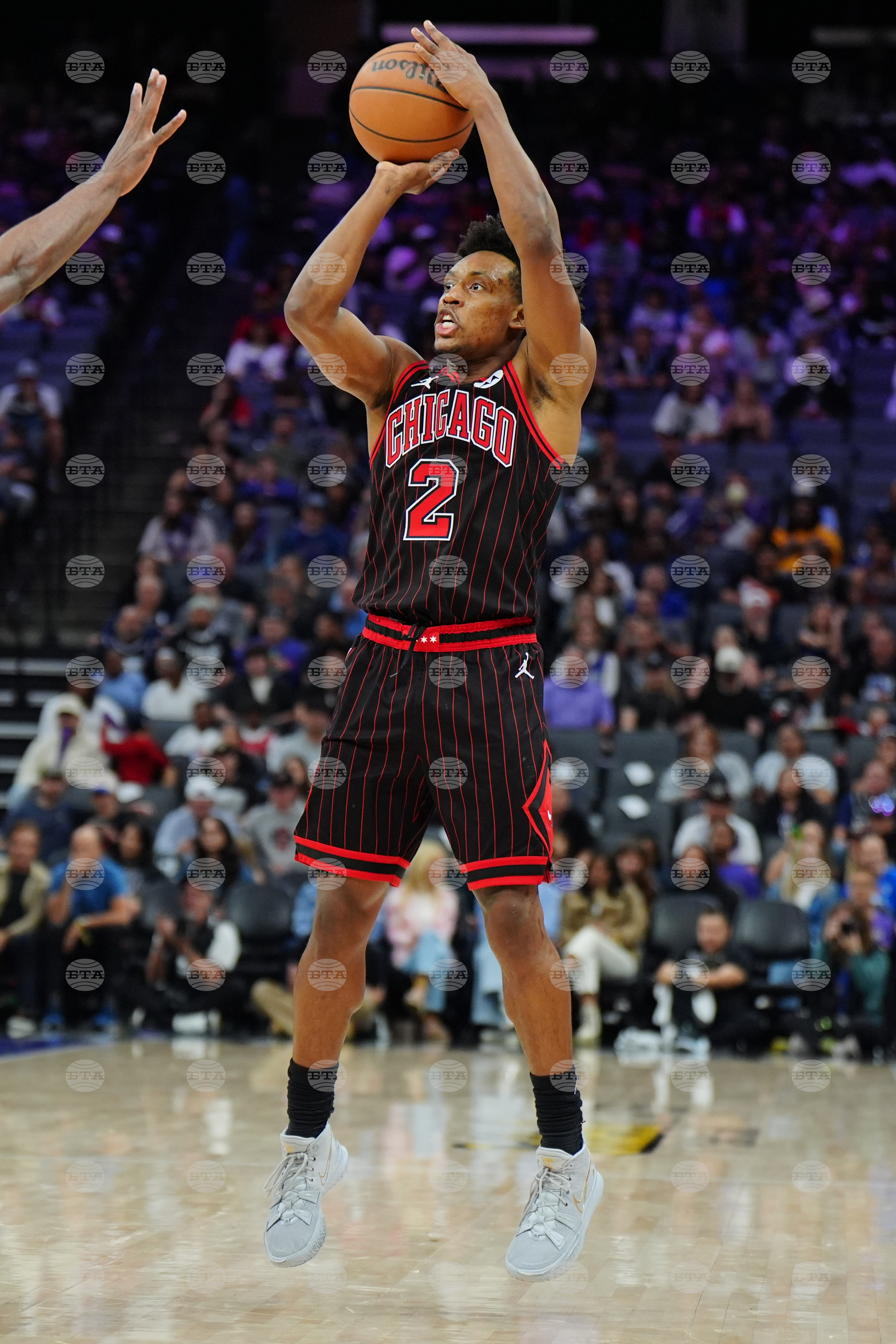 Bulls Kings Basketball