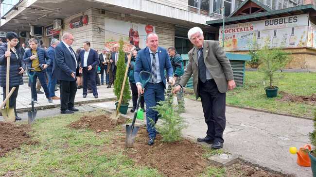 Заместник-министър Чамбов: Гората е най-българският символ
