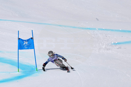 Milan Cortina Paralympics Alpine Skiing