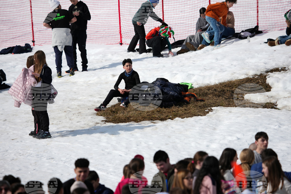 Milan Cortina Paralympics Alpine Skiing