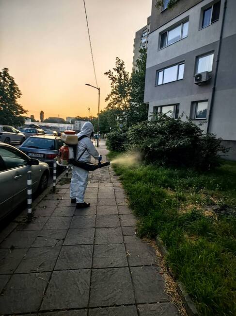 Столичната община започва по-рано обработките срещу кърлежи, комари и гризачи