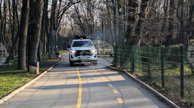 Столичната община започва обработките срещу кърлежи, комари и гризачи