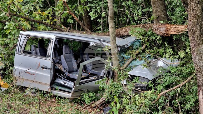 Млад мъж е загинал в Монтанско, след като се е ударил с колата си в крайпътно дърво 
