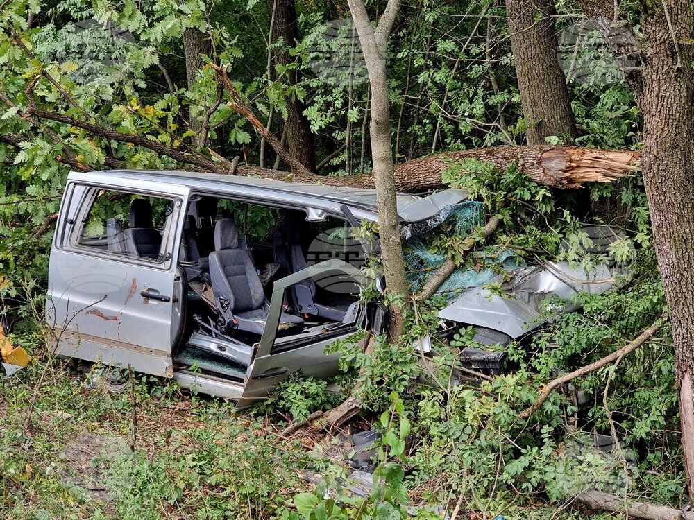 Млад мъж е загинал в Монтанско, след като се е ударил с колата си в крайпътно дърво 