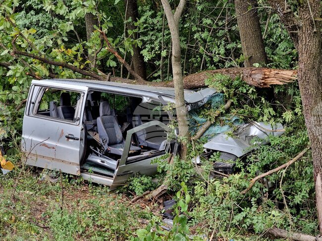 Млад мъж е загинал в Монтанско, след като се е ударил с колата си в крайпътно дърво 