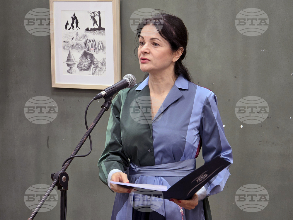 Видин - „Пинокио и други фантазии“ - изложба - откриване