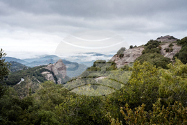 Spain Huawei TECH Cares Forum 2026