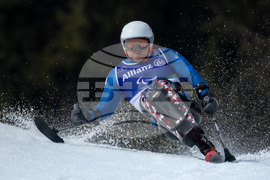 Milan Cortina Paralympics Alpine Skiing