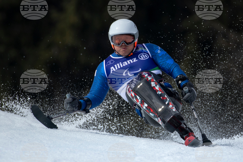 Milan Cortina Paralympics Alpine Skiing