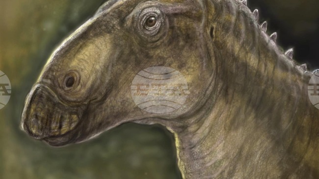 Аджерпрес: Нов вид динозавър е открит в Глобалния геопарк на ЮНЕСКО „Хацег“ в Румъния