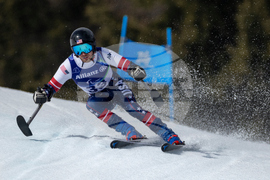 Milan Cortina Paralympics Alpine Skiing
