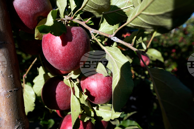 Michigan-Preserving Farmland