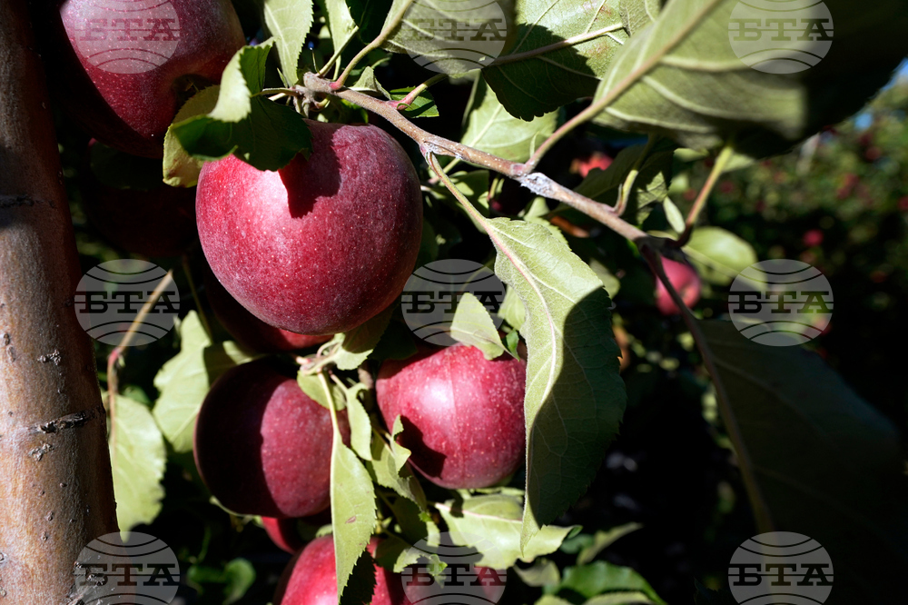 Michigan-Preserving Farmland