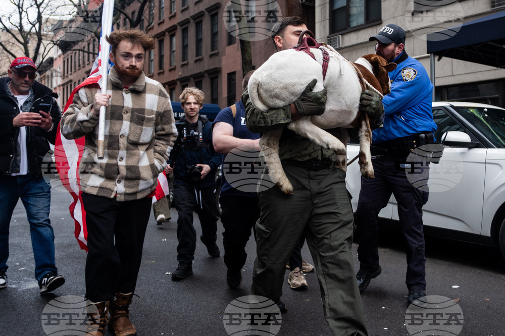 Gracie Mansion Protests
