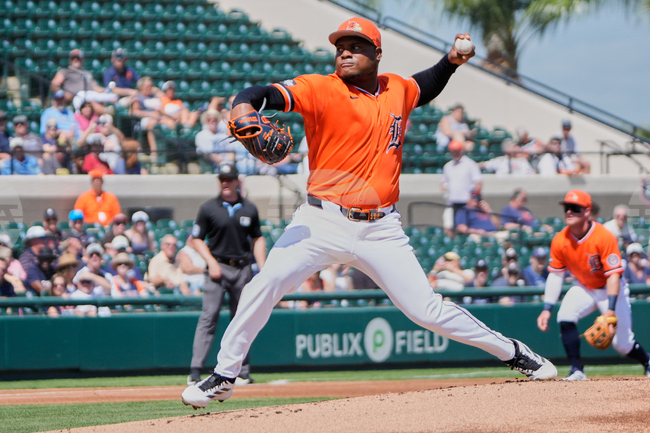 Rays Tigers Spring Baseball