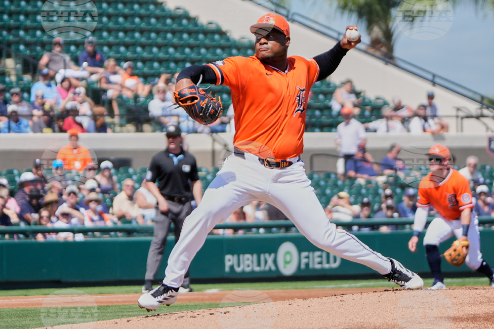 Rays Tigers Spring Baseball
