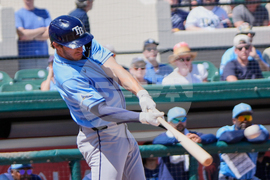 Rays Tigers Spring Baseball