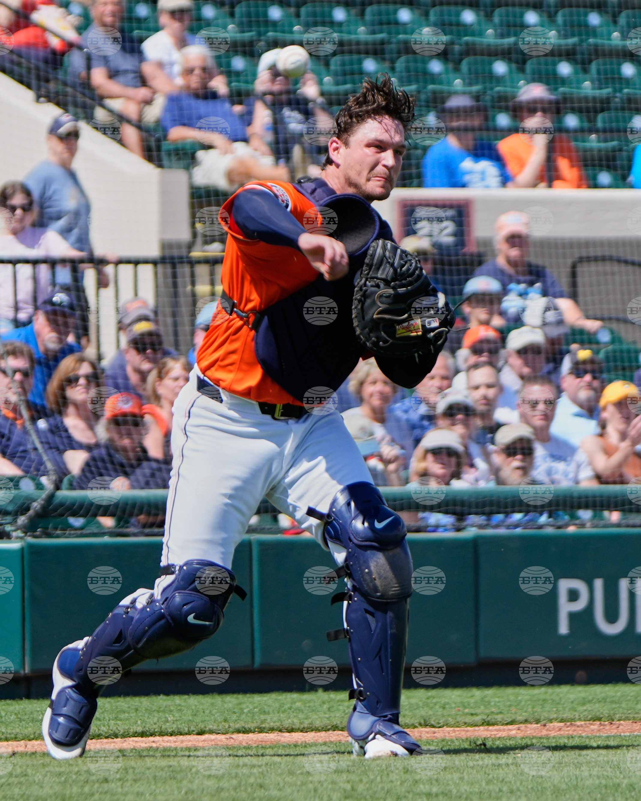 Rays Tigers Spring Baseball