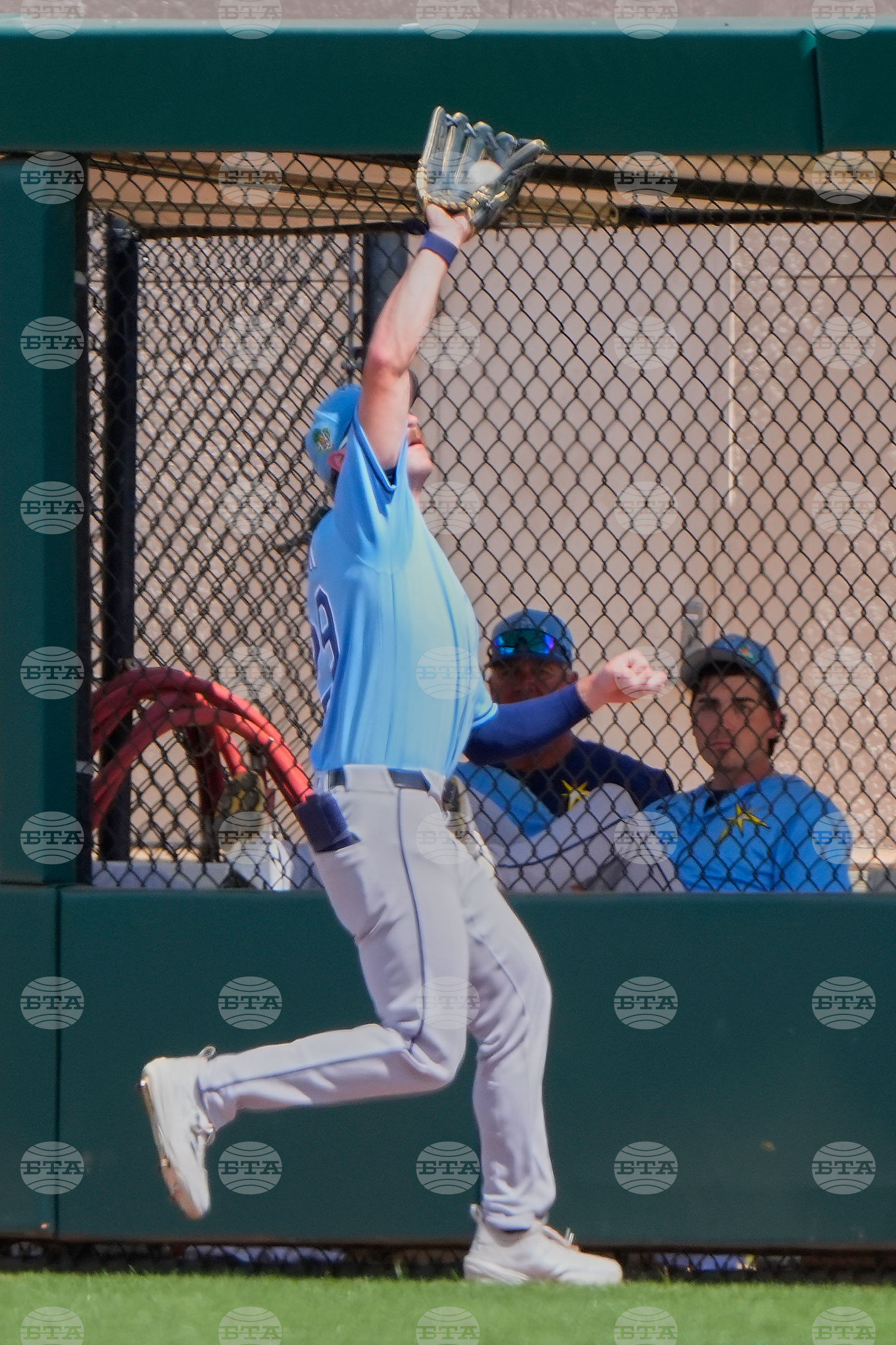 Rays Tigers Spring Baseball