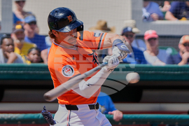 Rays Tigers Spring Baseball
