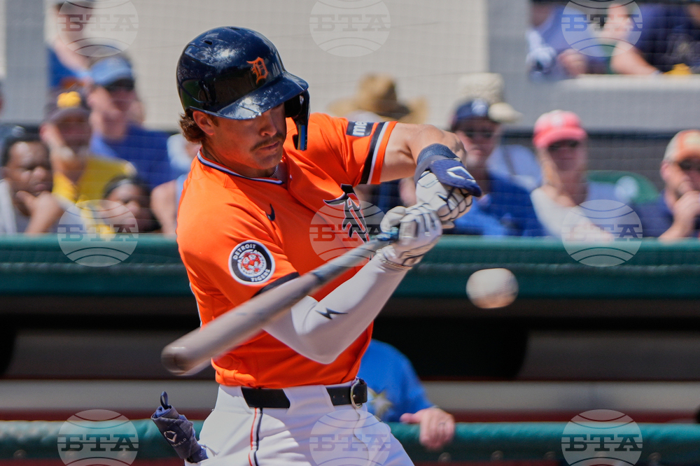 Rays Tigers Spring Baseball