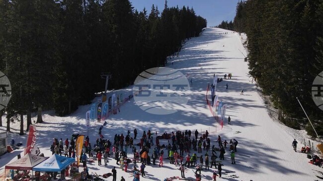 Над 250 деца участваха в петото издание на детското ски състезание Купа „Савич“ в Банско