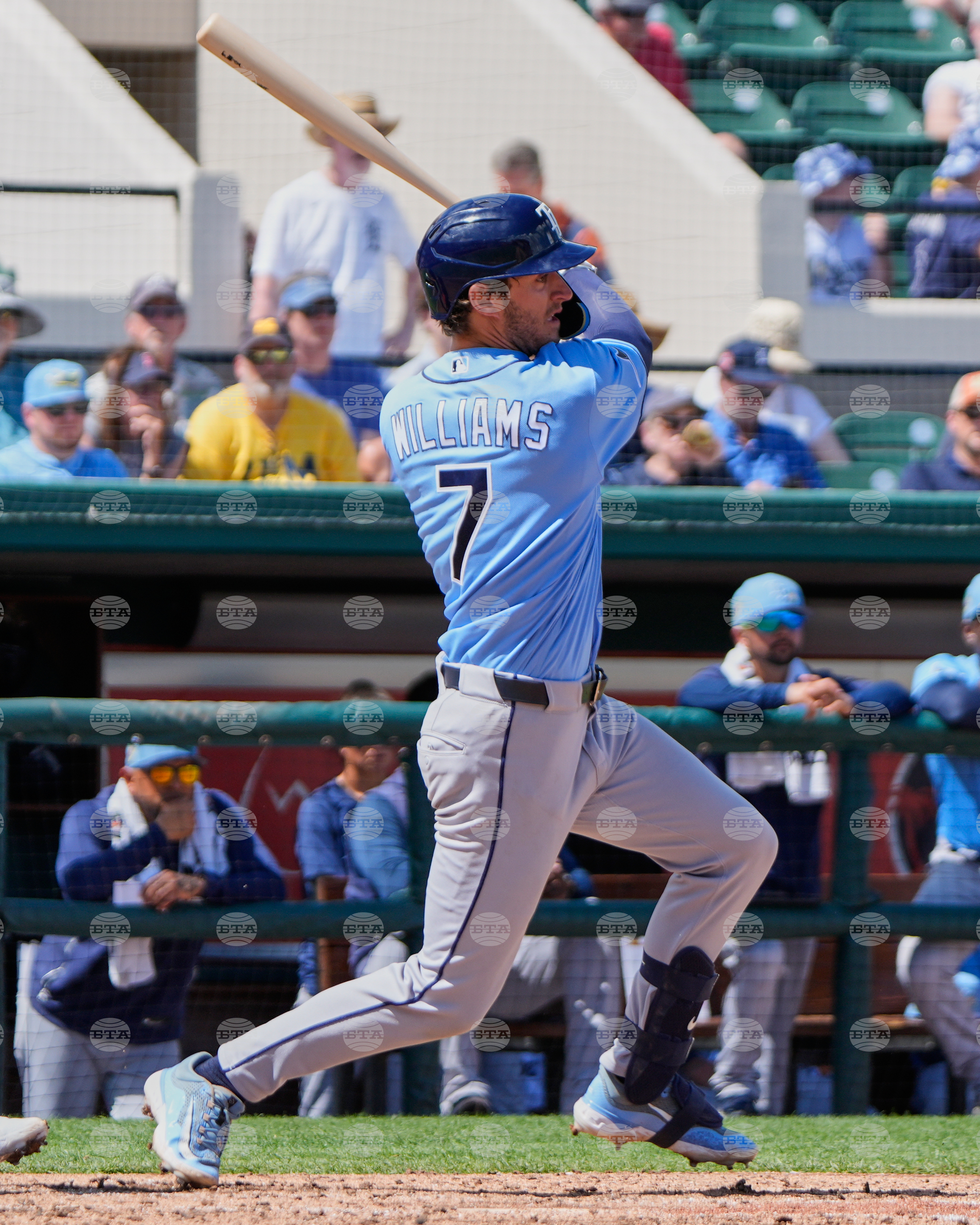 Rays Tigers Spring Baseball