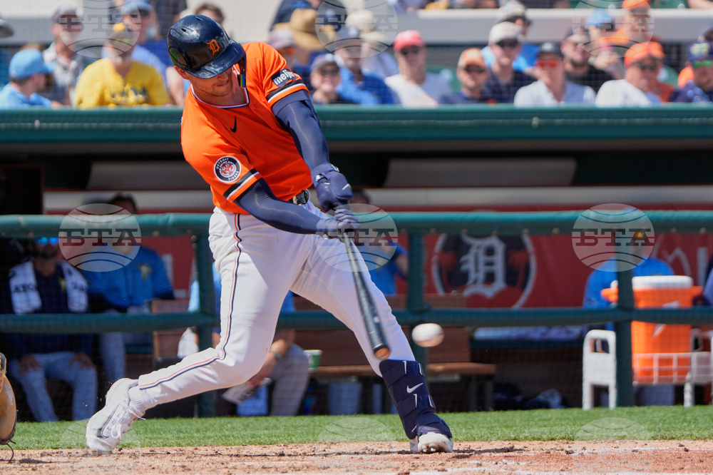 Rays Tigers Spring Baseball