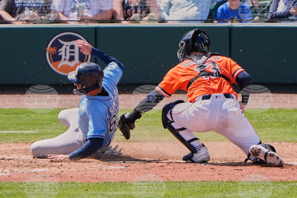 Rays Tigers Spring Baseball