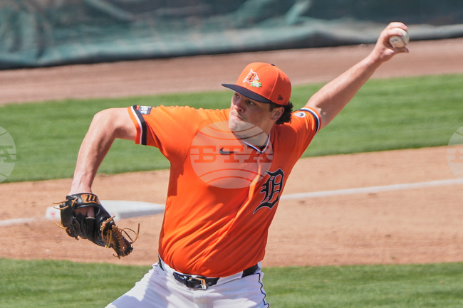 Tigers Rays Spring Baseball