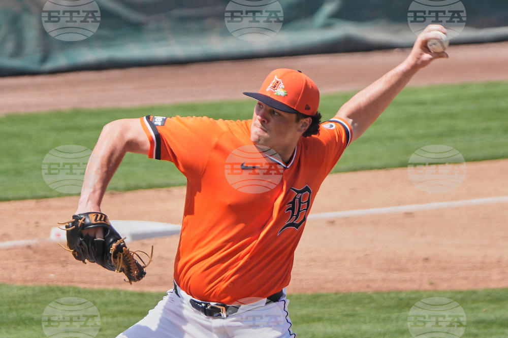 Tigers Rays Spring Baseball
