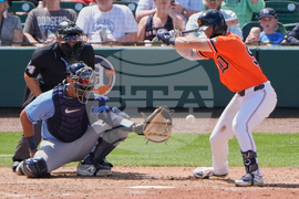 Rays Tigers Spring Baseball