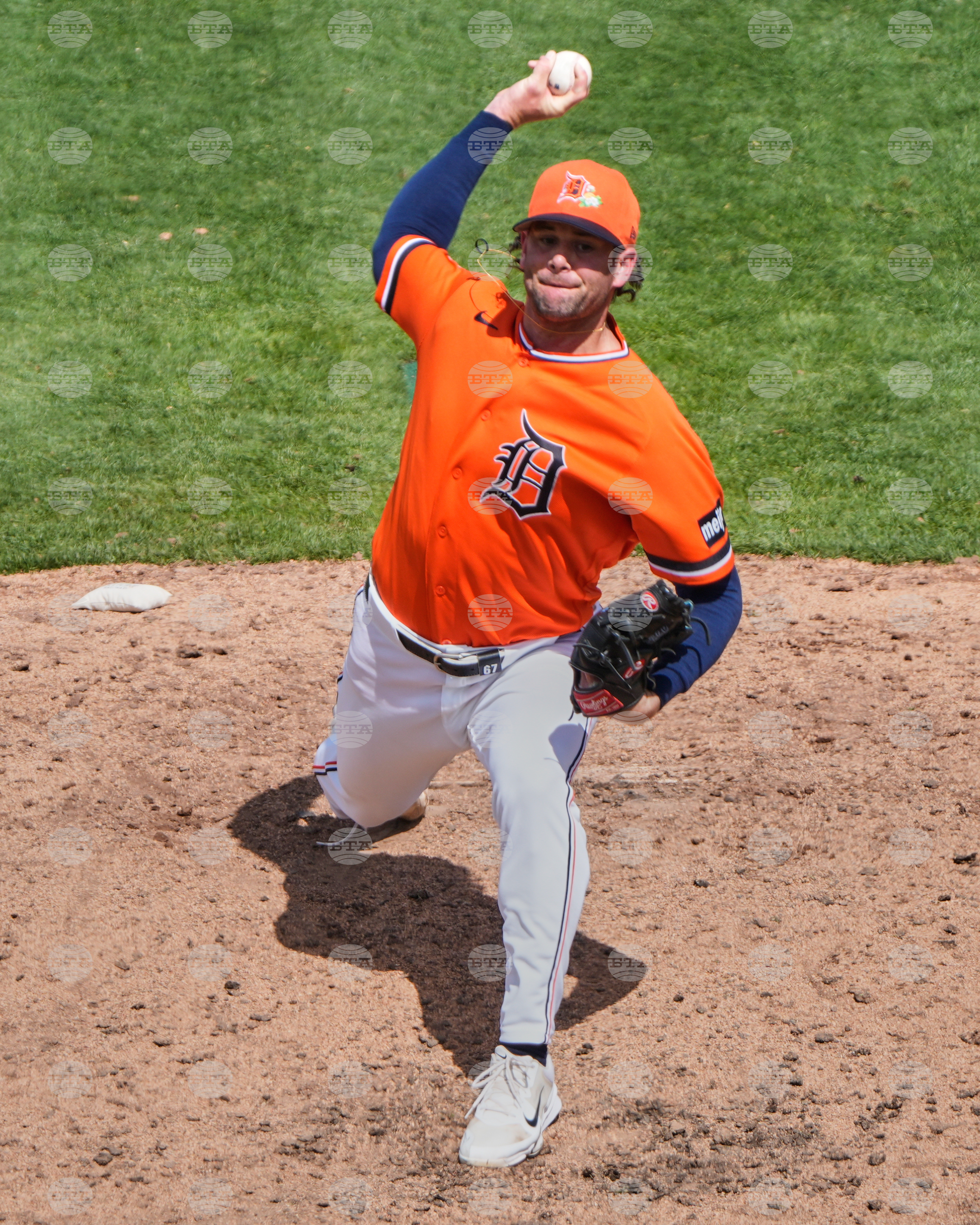 Tigers Rays Spring Baseball