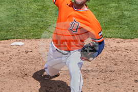 Tigers Rays Spring Baseball