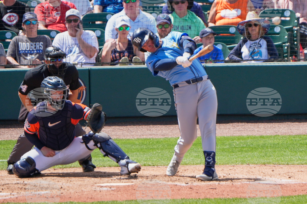 Tigers Rays Spring Baseball
