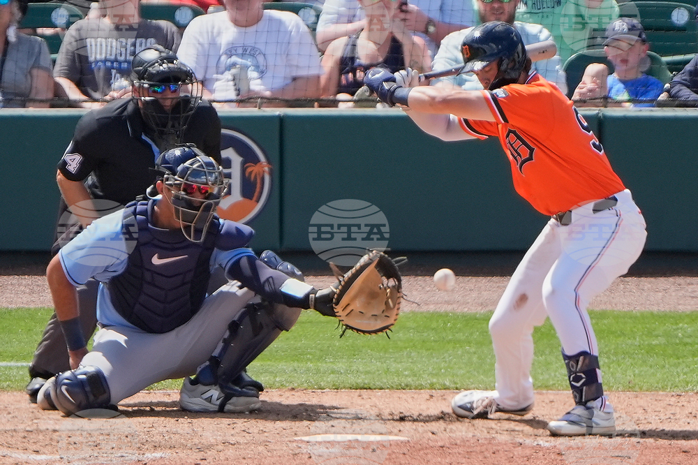 Rays Tigers Spring Baseball