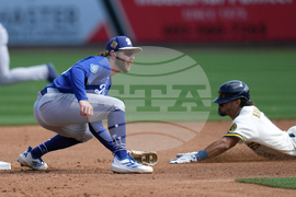 Dodgers Brewers Spring Baseball